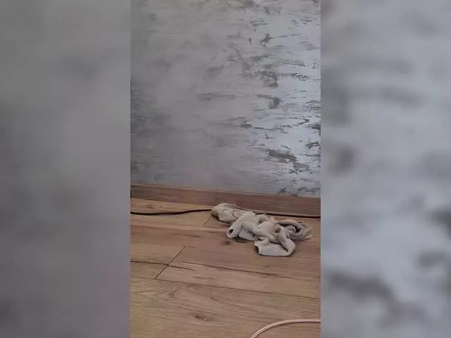CannabisQueen on BongaCams 