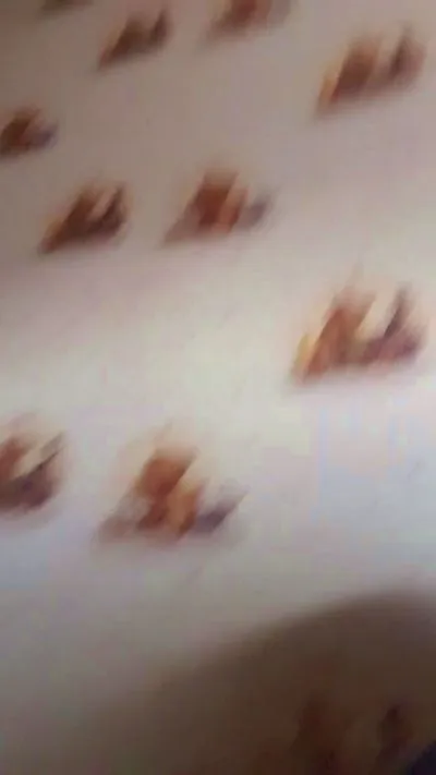 Dddd564