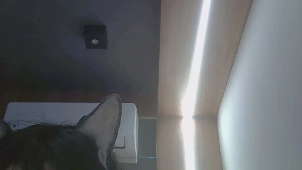SkinnyKittenCam
