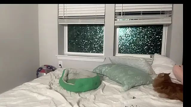 maddiliz — dildo