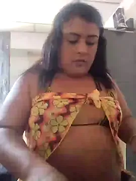 stelisamericano
